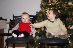 IMG 7082